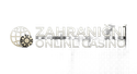 Zahraniční Online Casino